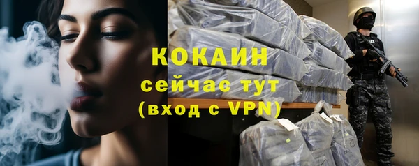 кокс Арсеньев