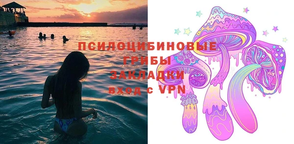 кокс Арсеньев