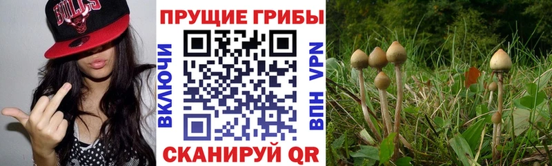 Галлюциногенные грибы мухоморы  Курчатов 